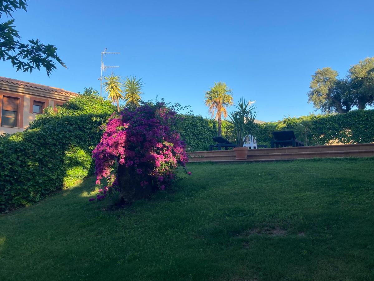 Villa La Parra En El Corazon De La Sierra De Gata Santibanez el Alto エクステリア 写真